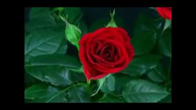 Чумуъа муборак!!!))) смотреть онлайн