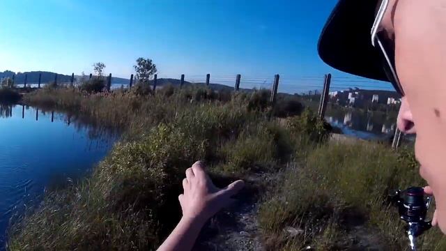 Окунь на запретке на Верх-Нейвинском вдхр 01.07.2018. смотреть онлайн