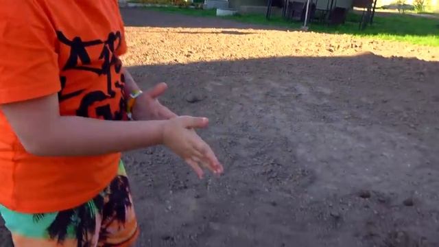 Камиль ПРИДУМАЛ как ЗАСТАВИТЬ Аминку ПОИГРАТЬ с ним! Для детей kids children смотреть онлайн