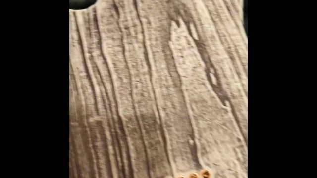 AMERICAN PERFORMER SANDBLASTED TELECASTER DAPHNE BLUE UNBOXING Sweetwater Exclusive смотреть онлайн