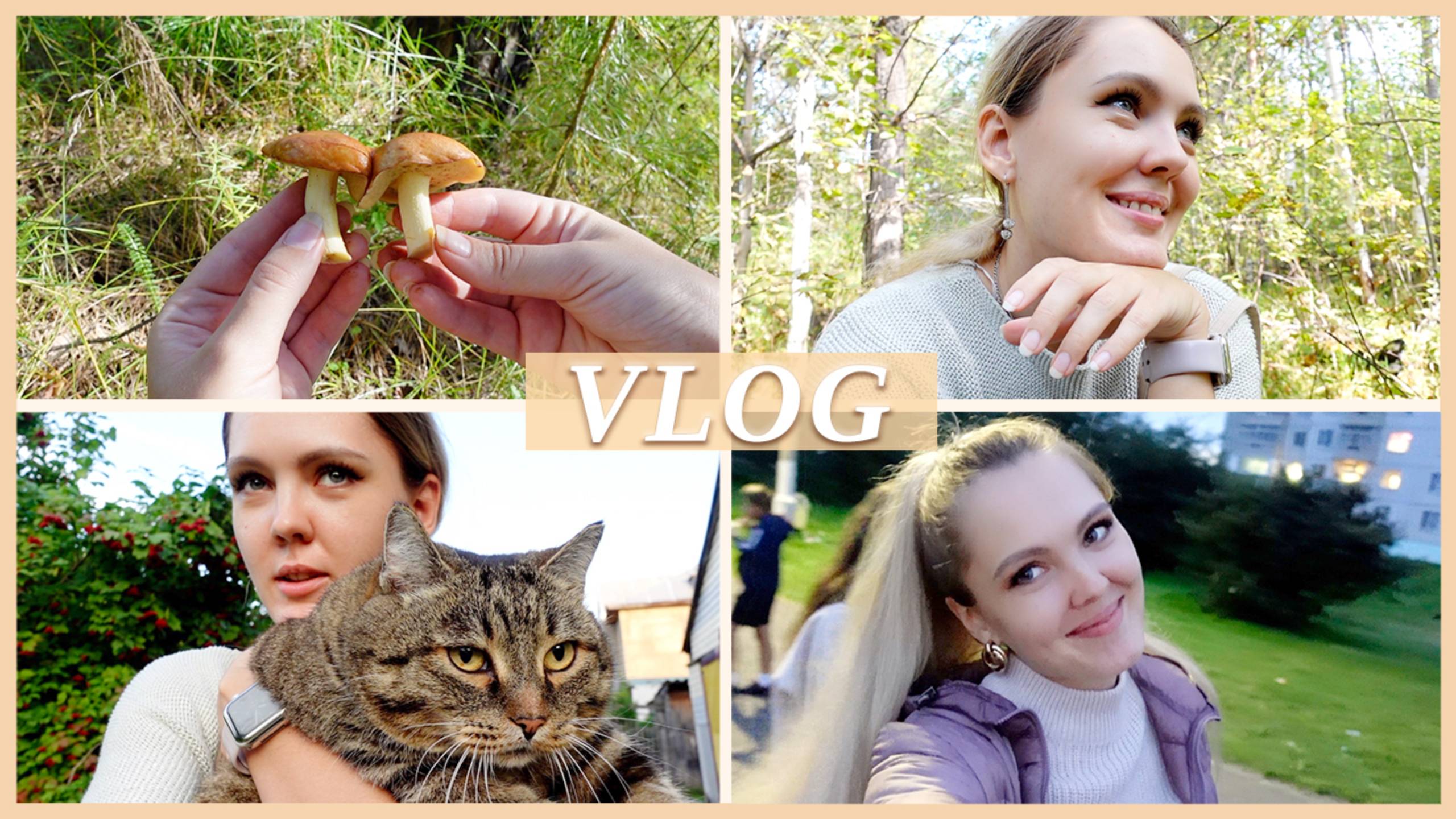 ЗА ГРИБАМИ 🍄 ГАСТРОНОМИЧЕСКИЙ ВЕЧЕР | ОТВЕТЫ НА ВОПРОСЫ 2023г. смотреть онлайн