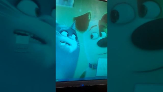  Учимся пользоваться компьютером: понятный гайд