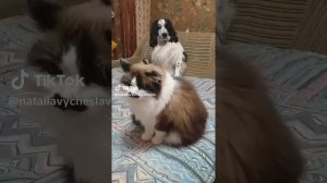 Закручивается какая-то ситуация...)))