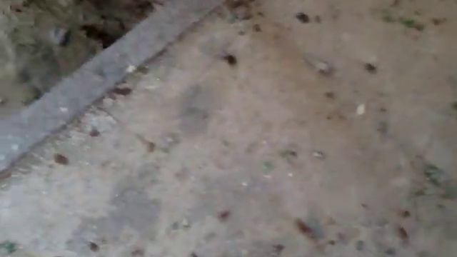 Тераристы ч.3 смотреть онлайн