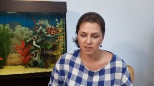 Что такой баллы и зачем они нужны?