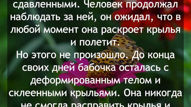Почему иногда лучше не помогать людям? - Мудрейшая притча смотреть онлайн