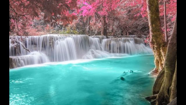 Лето, красивые картинки смотреть онлайн