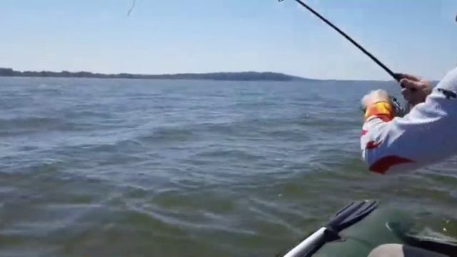 Калининградский залив раздает!) 06.06.2021 год Судак, окунь даёт жару! смотреть онлайн