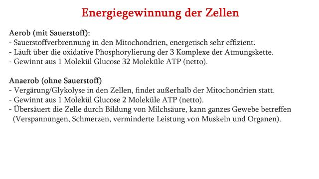 Fitnessparcour der Mitochondrien - der bioenergetische Gesundheitsindex | Dr. med. Dirk Wiechert смотреть онлайн
