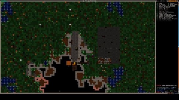 Dwarf Fortress. Гайд. Быстрый старт.