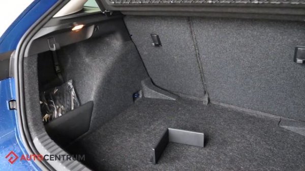 Skoda Scala - skala problemu