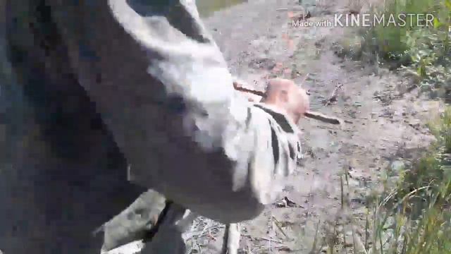 Рыбалка в Астрахани в Володаровском районе смотреть онлайн