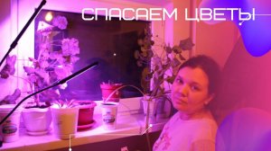 ЗАКАЗАЛИ ФИТОЛАМПУ / ЧТО ДЕЛАТЬ ЕСЛИ НЕ ХВАТАЕТ СВЕТА