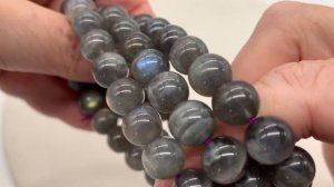 #108 Лабрадор | Чем отличается и как выбрать