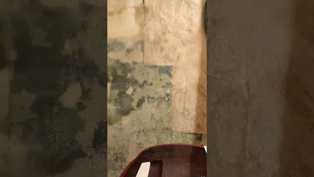 Стиральная машина типа "Малютка". СССР вернулся вот в таком виде. смотреть онлайн