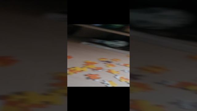 VID_20240815_190910.mp4