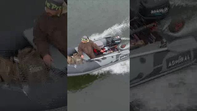 Красивая природа смотреть онлайн