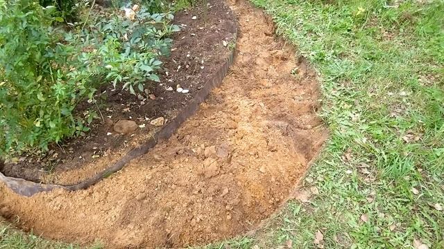 Больше грязи - шире...РОЗЫ! Переделка розария, и много всякого садоманства! 1 октября 2023 г. смотреть онлайн