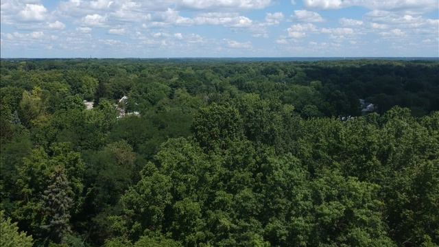DJI Spark Blue Sky and Green Trees upscaled to 4K смотреть онлайн