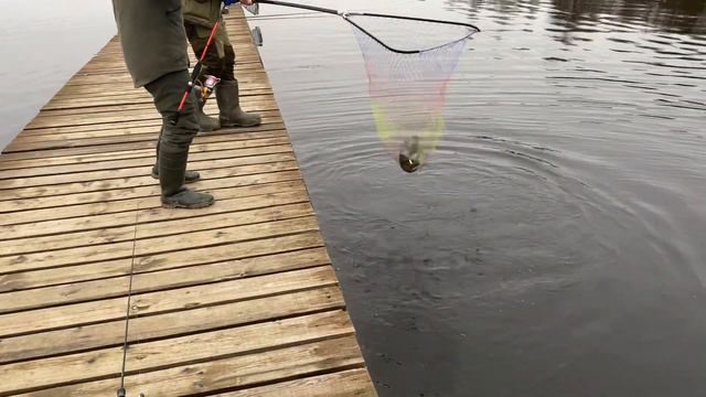 Сработала активная снасть,на блесну смотреть онлайн