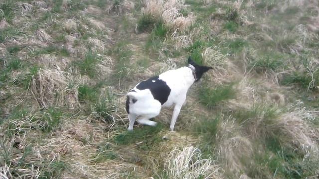 how do I find the mouse position? смотреть онлайн