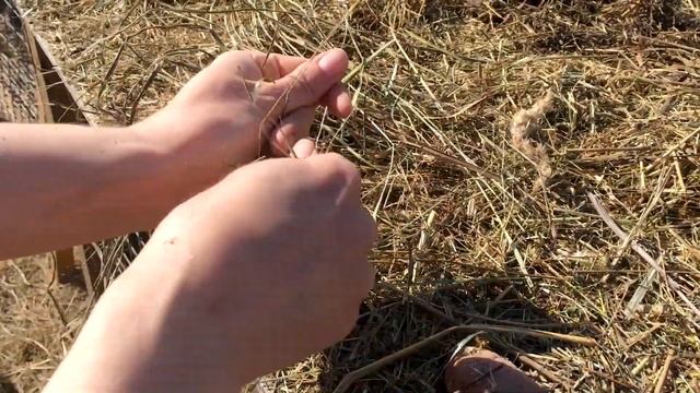 Окрол Установка Маточника Родились Крольчата смотреть онлайн