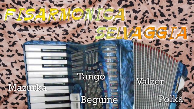Fisarmonica Selvaggia - Compilation Mix Valzer, Mazurca, Polca, Tango, Tarantella, Fox
