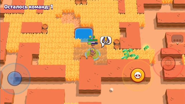 13 февраля 2024 г.