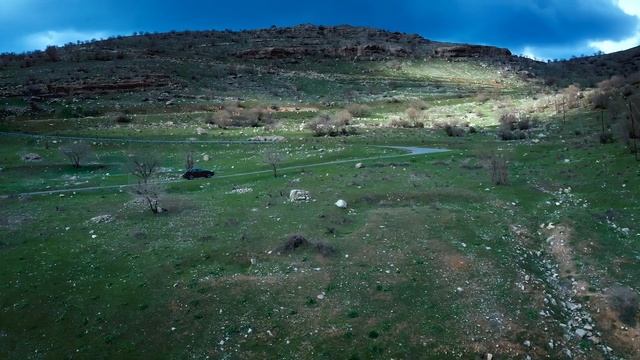 Changan Auto смотреть онлайн