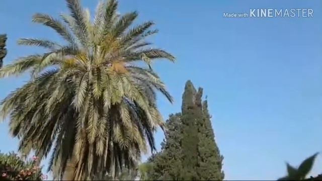 Psalm 3 (hebrew audio) смотреть онлайн