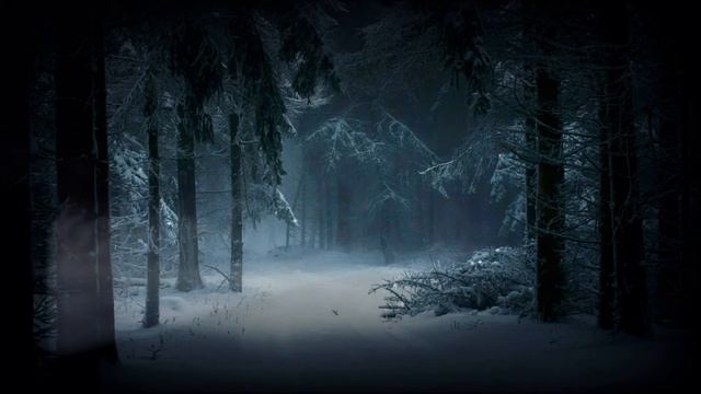 Early Morning Misty Forest Ambience | Woodland Ambience, Bird Songs, Relax Study Sleep De-Stress