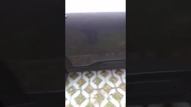 легко узнаём автомобиль смотреть онлайн