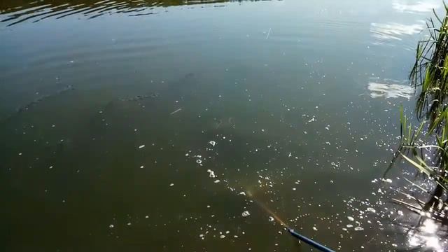 Немного о рыбалке смотреть онлайн