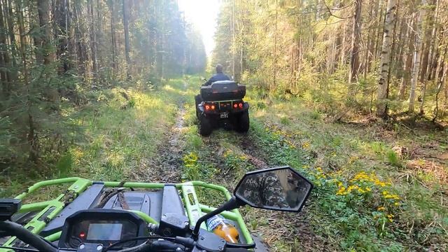 РМ 650-2, по лесу! Часть 2 смотреть онлайн