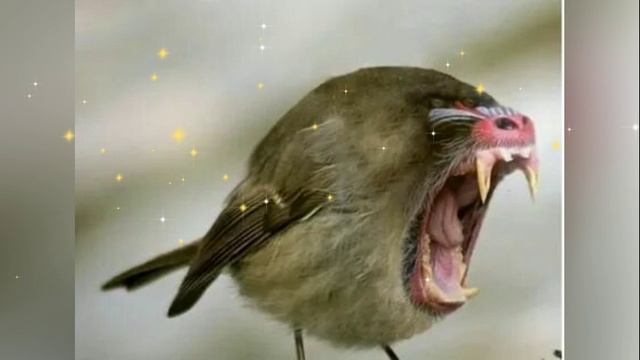 Соловьиная смотреть онлайн