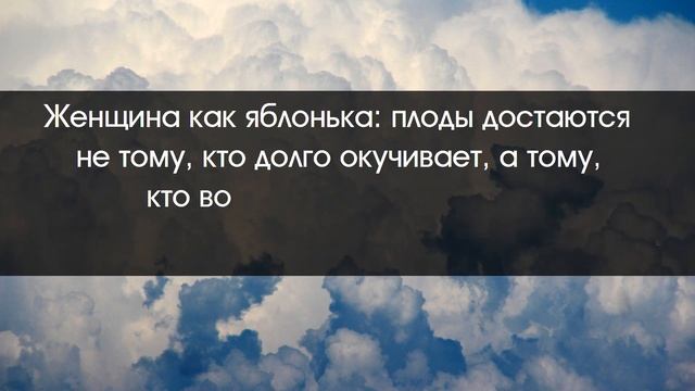 ?13.07.2022. Смешные цитаты и афоризмы? смотреть онлайн