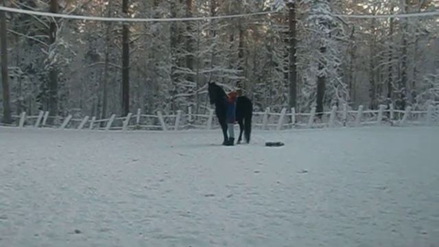 Квалификация. Бадалова Валерия, Ночлег. Работа на земле. Уровень 1. смотреть онлайн