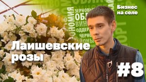 Бизнес на селе #8 | Лаишевские розы, как венец цветочного импортозамещения