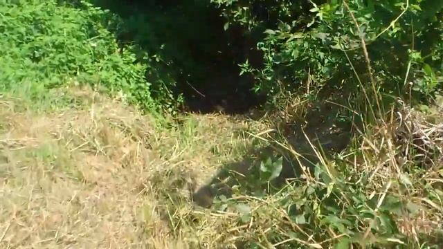 Дневник дачника. часть 1 смотреть онлайн