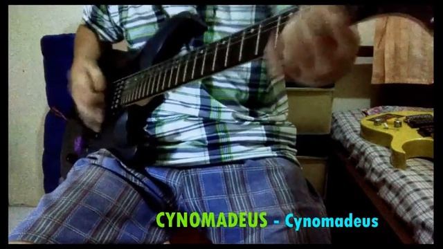 CYNOMADEUS - Cynomadeus (Guitar cover) смотреть онлайн