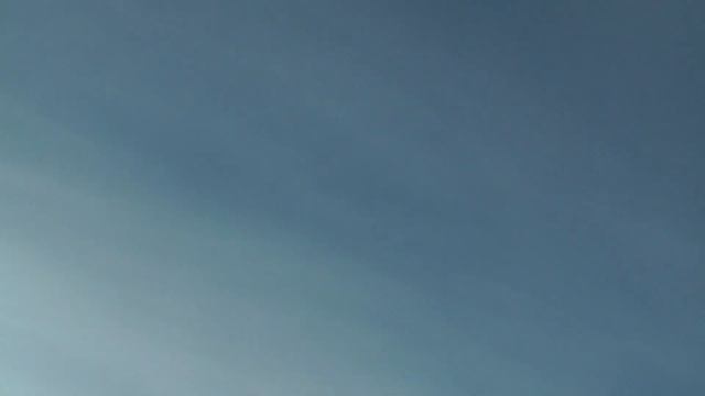 5.ч. Голуби Гон. Общение (16 +) Смотреть и Слушать не Моргать ? ??️?? смотреть онлайн