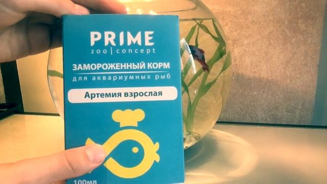 Как ухаживать за рыбкой петушком! смотреть онлайн