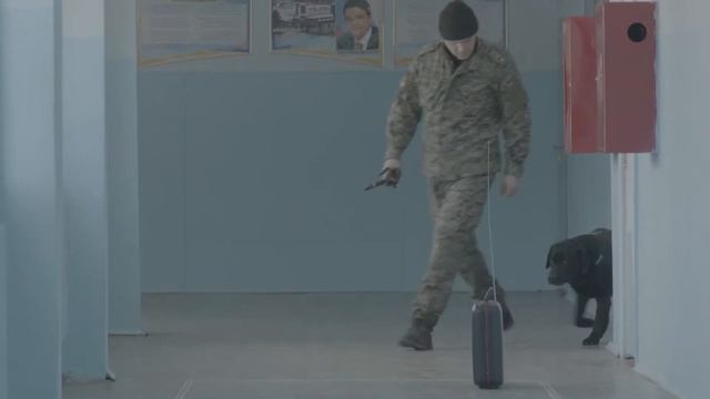 Шутка, которая обходится слишком дорого смотреть онлайн