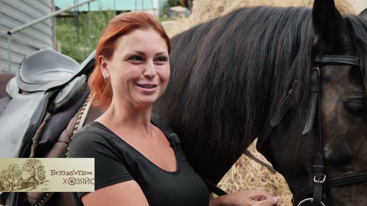 Содержание лошадей, особенности и основные правила | Беззаботное хозяйство смотреть онлайн