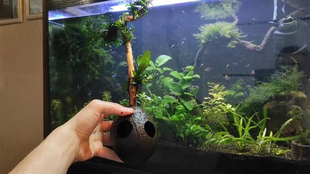 Лайфхак для аквариума смотреть онлайн