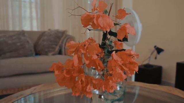 LA VEUVE ET LES 2 ORPHELINS SAISON2 PART 194 FEYTON WILMIX PROD 2024 смотреть онлайн