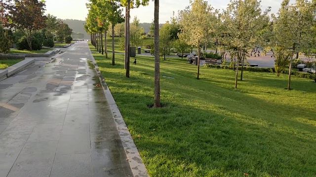 Цвергпинчер "Кадык" и 2-ва Лабрадора смотреть онлайн