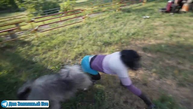 Не ЖЕНЩИНА а МЕЧТА! Какая же она МИЛАЯ)) // ПЕЧАЛЬКА! Удалил случайно все сегодняшние ВИДЕО... смотреть онлайн