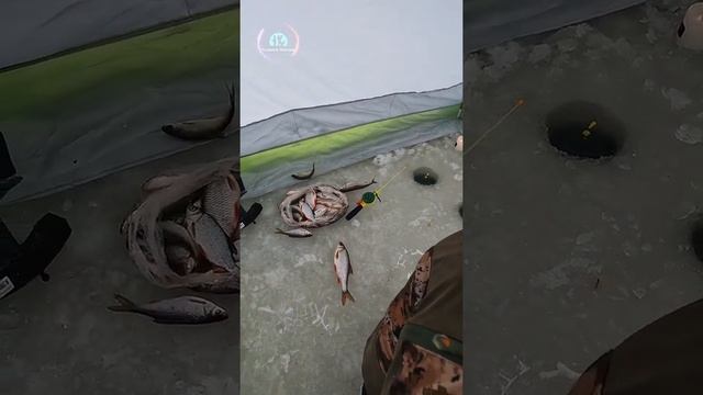 Рыбалка в г.Троицк на р.Десна #рыбалка #москва #троицк смотреть онлайн