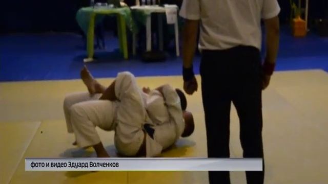 Сразу шесть ярославских спортсменов попали в сборную России по джиу-джитсу смотреть онлайн